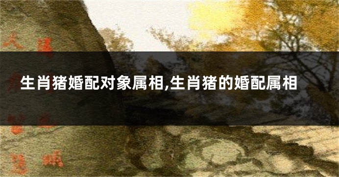 生肖猪婚配对象属相,生肖猪的婚配属相