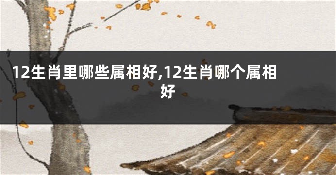 12生肖里哪些属相好,12生肖哪个属相好