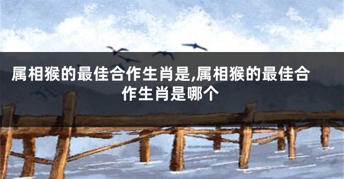 属相猴的最佳合作生肖是,属相猴的最佳合作生肖是哪个