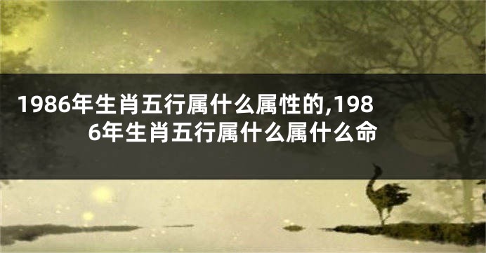 1986年生肖五行属什么属性的,1986年生肖五行属什么属什么命