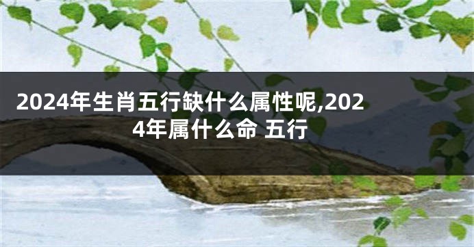 2024年生肖五行缺什么属性呢,2024年属什么命 五行
