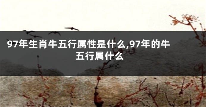 97年生肖牛五行属性是什么,97年的牛 五行属什么
