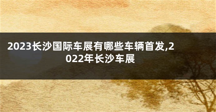 2023长沙国际车展有哪些车辆首发,2022年长沙车展