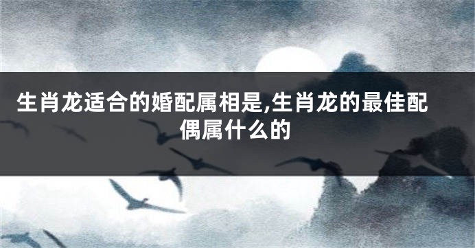 生肖龙适合的婚配属相是,生肖龙的最佳配偶属什么的