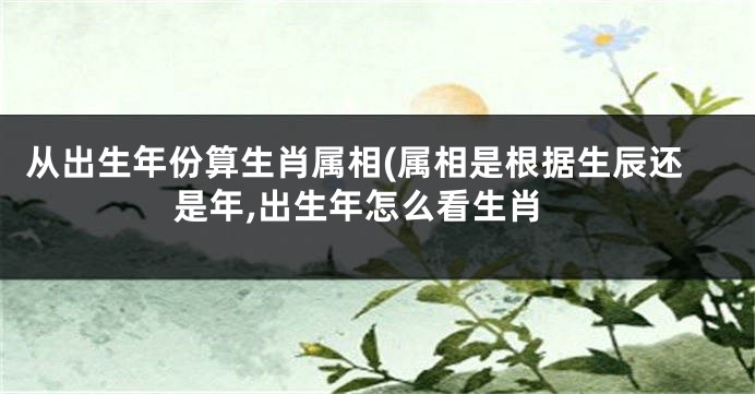 从出生年份算生肖属相(属相是根据生辰还是年,出生年怎么看生肖
