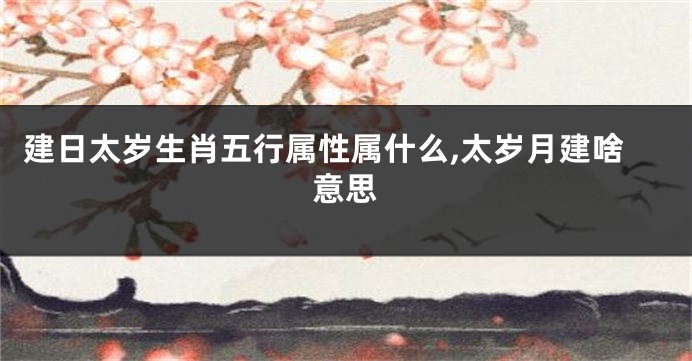 建日太岁生肖五行属性属什么,太岁月建啥意思