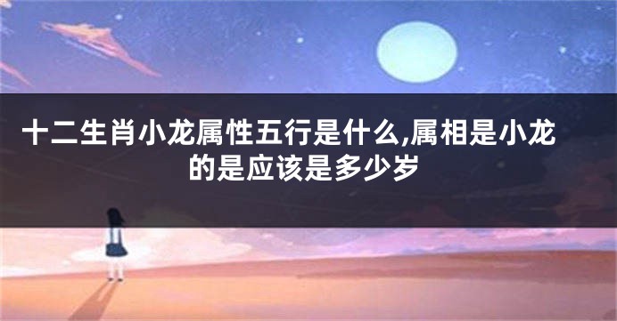 十二生肖小龙属性五行是什么,属相是小龙的是应该是多少岁