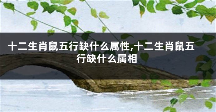 十二生肖鼠五行缺什么属性,十二生肖鼠五行缺什么属相