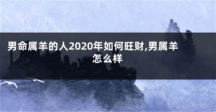 男命属羊的人2020年如何旺财,男属羊怎么样