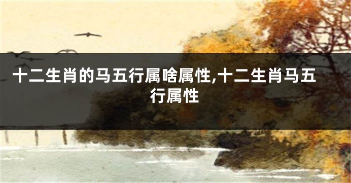 十二生肖的马五行属啥属性,十二生肖马五行属性