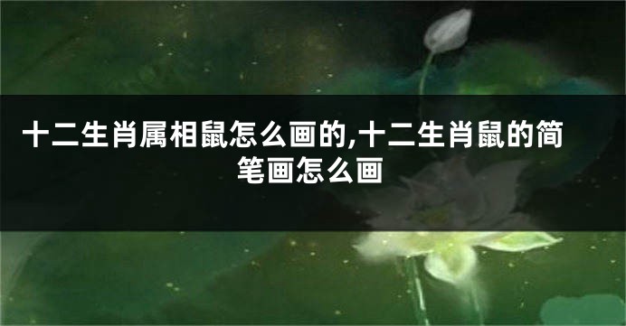 十二生肖属相鼠怎么画的,十二生肖鼠的简笔画怎么画