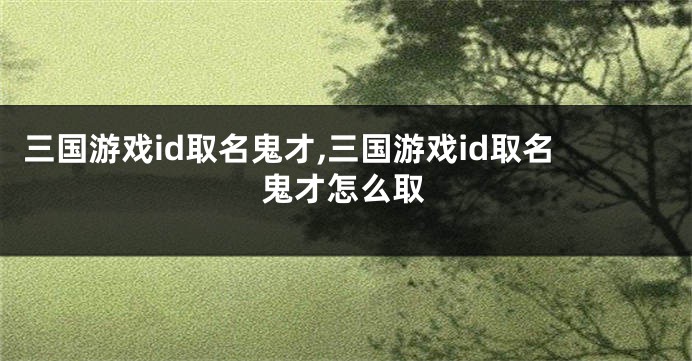 三国游戏id取名鬼才,三国游戏id取名鬼才怎么取