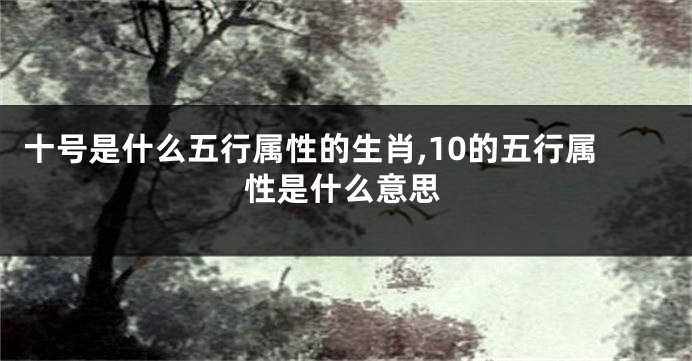 十号是什么五行属性的生肖,10的五行属性是什么意思