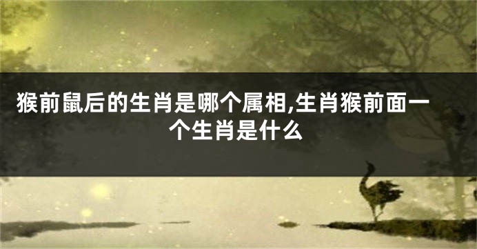 猴前鼠后的生肖是哪个属相,生肖猴前面一个生肖是什么