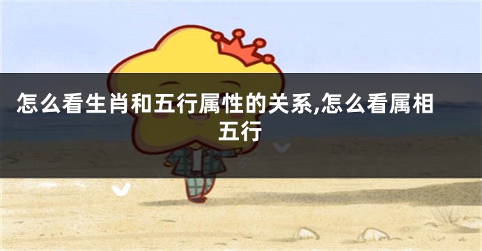 怎么看生肖和五行属性的关系,怎么看属相五行
