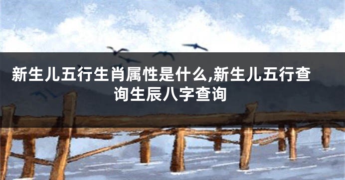 新生儿五行生肖属性是什么,新生儿五行查询生辰八字查询