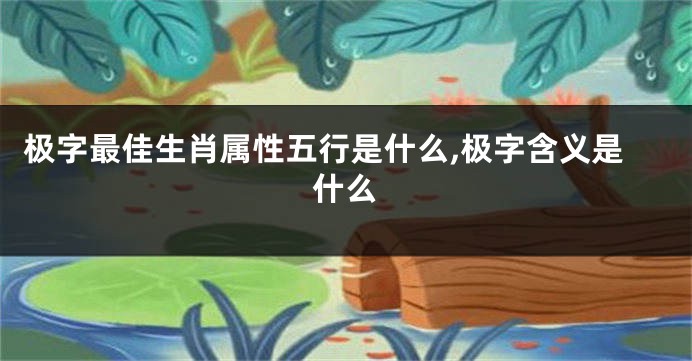 极字最佳生肖属性五行是什么,极字含义是什么