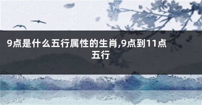9点是什么五行属性的生肖,9点到11点五行