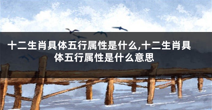 十二生肖具体五行属性是什么,十二生肖具体五行属性是什么意思