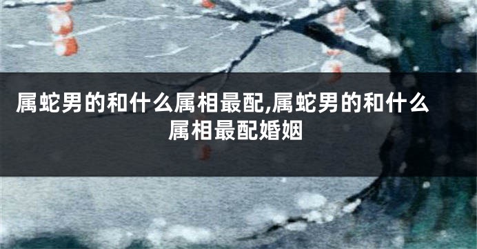 属蛇男的和什么属相最配,属蛇男的和什么属相最配婚姻