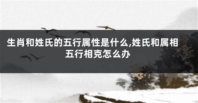 生肖和姓氏的五行属性是什么,姓氏和属相五行相克怎么办