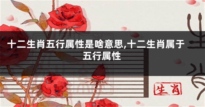十二生肖五行属性是啥意思,十二生肖属于五行属性