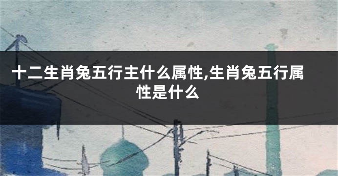 十二生肖兔五行主什么属性,生肖兔五行属性是什么