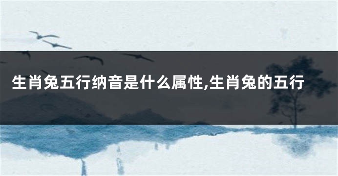 生肖兔五行纳音是什么属性,生肖兔的五行