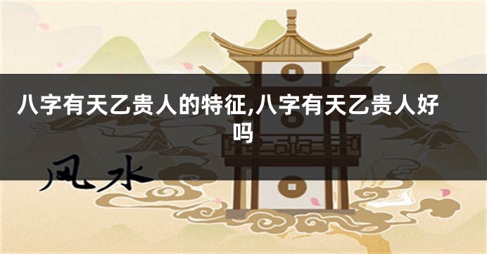 八字有天乙贵人的特征,八字有天乙贵人好吗