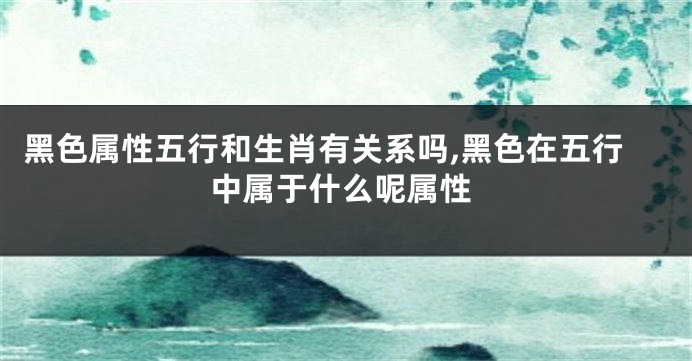 黑色属性五行和生肖有关系吗,黑色在五行中属于什么呢属性