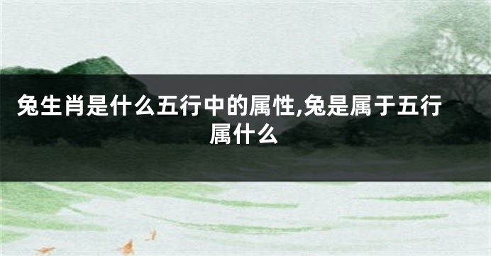 兔生肖是什么五行中的属性,兔是属于五行属什么