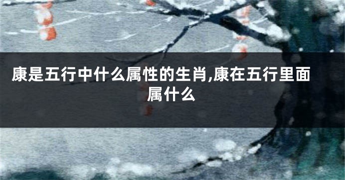 康是五行中什么属性的生肖,康在五行里面属什么