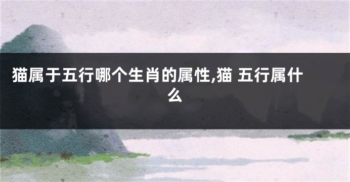 猫属于五行哪个生肖的属性,猫 五行属什么