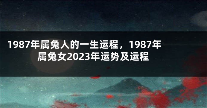 1987年属兔人的一生运程，1987年属兔女2023年运势及运程