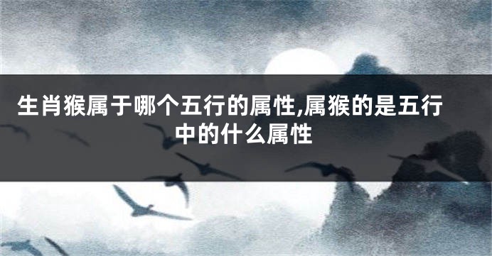 生肖猴属于哪个五行的属性,属猴的是五行中的什么属性