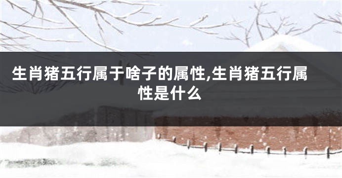 生肖猪五行属于啥子的属性,生肖猪五行属性是什么