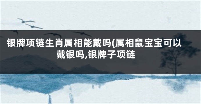 银牌项链生肖属相能戴吗(属相鼠宝宝可以戴银吗,银牌子项链
