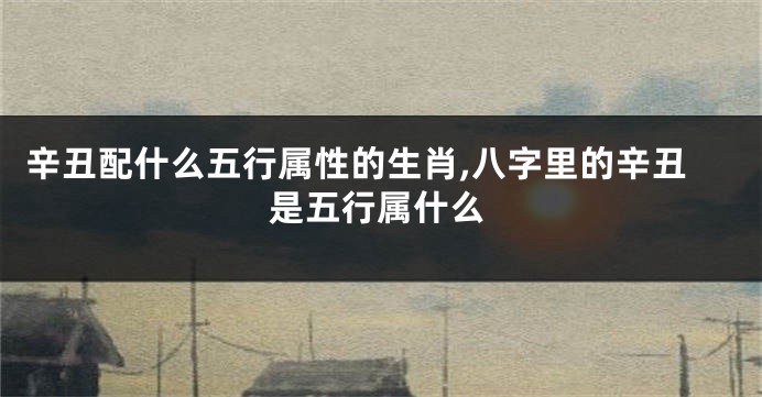 辛丑配什么五行属性的生肖,八字里的辛丑是五行属什么