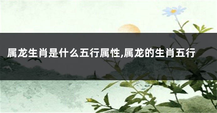 属龙生肖是什么五行属性,属龙的生肖五行