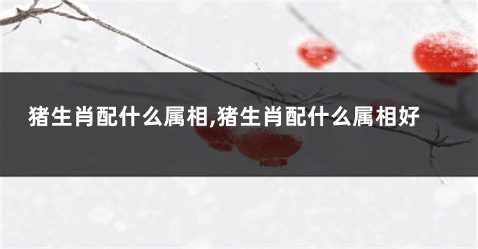 猪生肖配什么属相,猪生肖配什么属相好