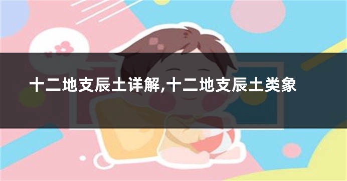 十二地支辰土详解,十二地支辰土类象