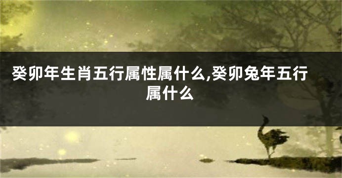 癸卯年生肖五行属性属什么,癸卯兔年五行属什么
