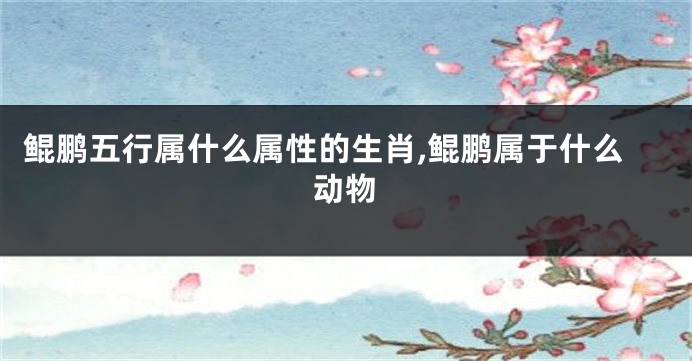鲲鹏五行属什么属性的生肖,鲲鹏属于什么动物