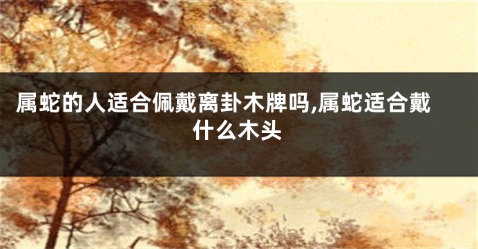 属蛇的人适合佩戴离卦木牌吗,属蛇适合戴什么木头
