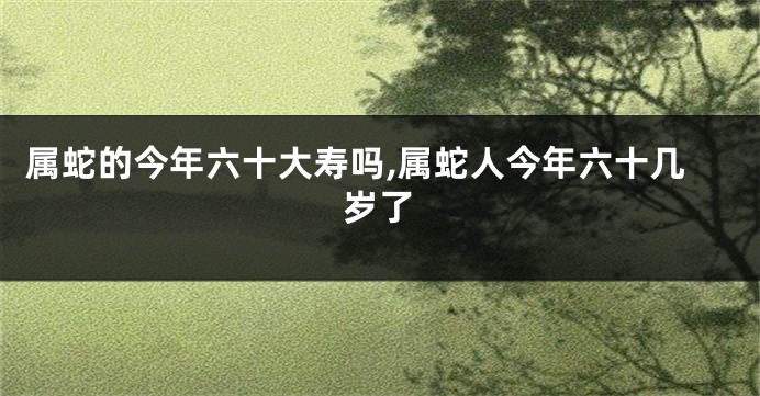 属蛇的今年六十大寿吗,属蛇人今年六十几岁了