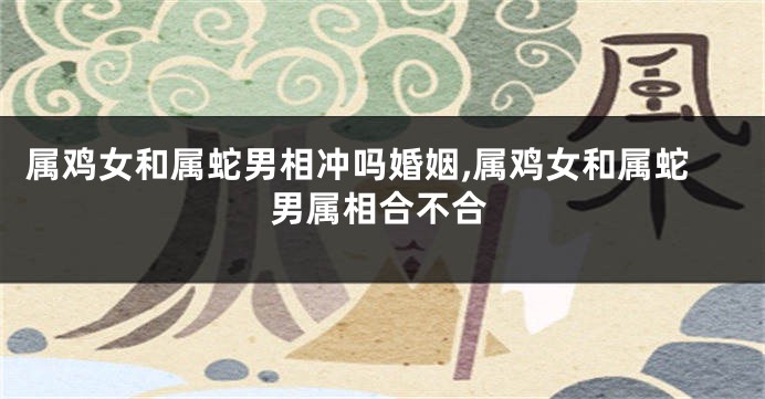 属鸡女和属蛇男相冲吗婚姻,属鸡女和属蛇男属相合不合