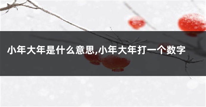 小年大年是什么意思,小年大年打一个数字
