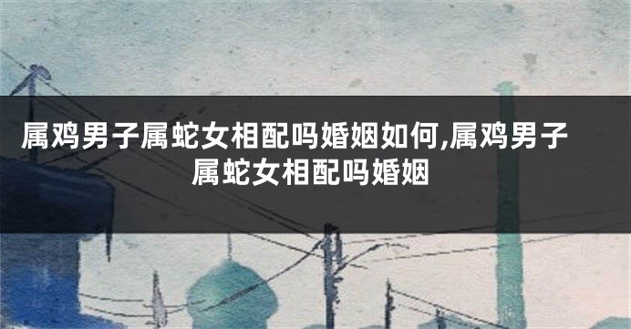 属鸡男子属蛇女相配吗婚姻如何,属鸡男子属蛇女相配吗婚姻