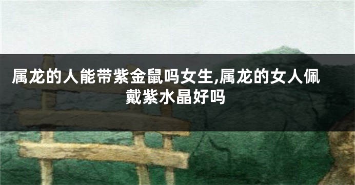 属龙的人能带紫金鼠吗女生,属龙的女人佩戴紫水晶好吗