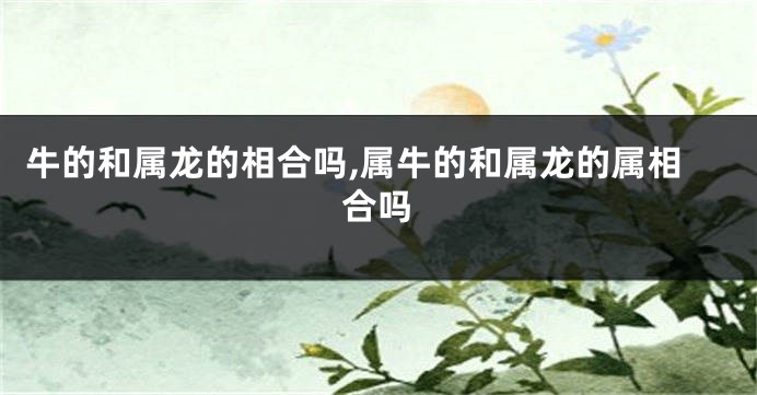 牛的和属龙的相合吗,属牛的和属龙的属相合吗